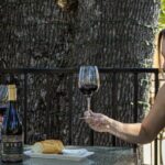 Myka Estates Wine Tasting Reservation - The Sum Up