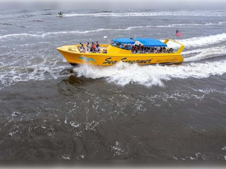 Myrtle Beach: Dolphin Cruise on the Sea Screamer - The Sum Up