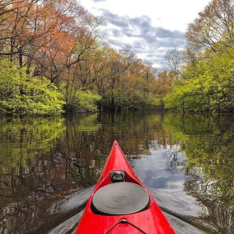 Myrtle Beach: Waccamaw River Kayak Island Tour - Who will love this tour?