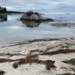 Mysterious Lore and More Walking Tour of Boothbay Harbor - Exploring Boothbay Harbor’s Hidden Corners