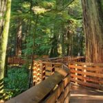 Nanaimo: Cathedral Grove, Waterfalls and Animal Sanctuary - Practical Details and Value
