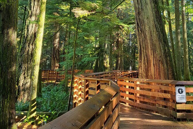 Nanaimo: Cathedral Grove, Waterfalls and Animal Sanctuary - Practical Details and Value