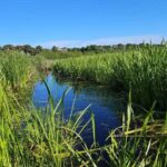 Nantucket: Historical Landmarks Sightseeing Bus Tour - The Guide: Making the Difference