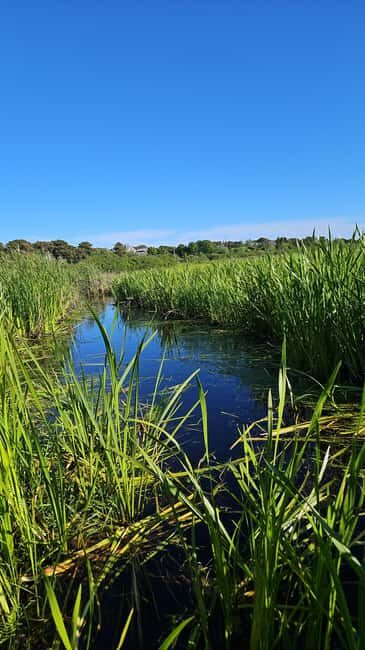 Nantucket: Historical Landmarks Sightseeing Bus Tour - The Guide: Making the Difference
