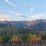 Napa and Sonoma Private Transportation - The Authenticity and Local Knowledge