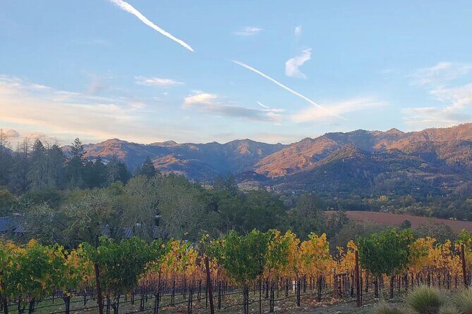 Napa and Sonoma Private Transportation - The Authenticity and Local Knowledge