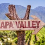 Napa Valley: Guided Wine Tour with Picnic Lunch - The Experience’s Strengths