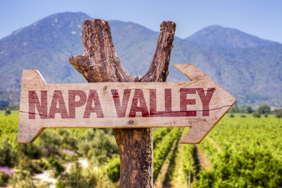 Napa Valley: Guided Wine Tour with Picnic Lunch - The Experience’s Strengths