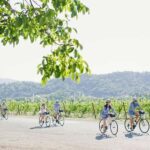 Napa Valley: Guided Winery E-Bike Tour - The Scenic Ride