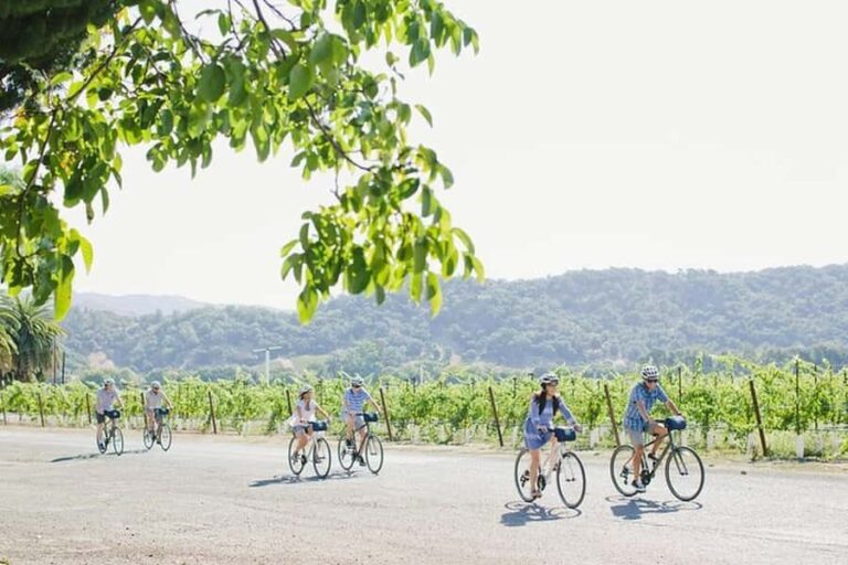 Napa Valley: Guided Winery E-Bike Tour - The Scenic Ride