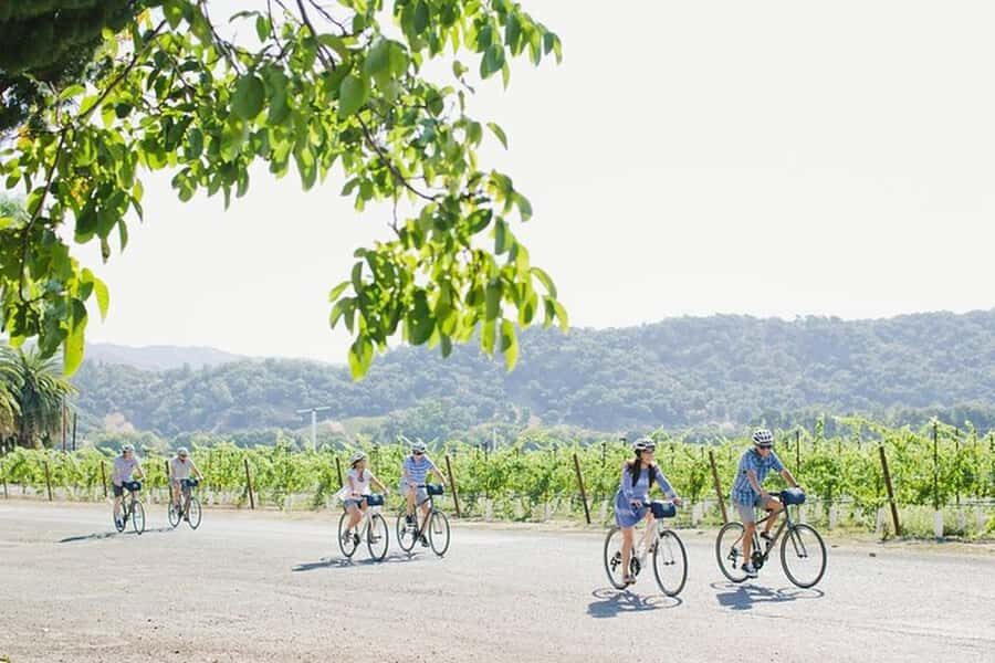 Napa Valley: Guided Winery E-Bike Tour - The Scenic Ride