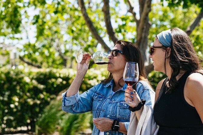 Napa Valley Wine and Food Tasting Tour from San Francisco - Who Will Love This Tour