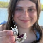 Naples: 3 Hour Keewaydin Island Shelling - Who Will Love This Experience?