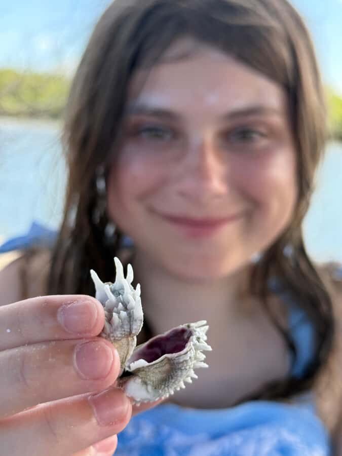 Naples: 3 Hour Keewaydin Island Shelling - Who Will Love This Experience?