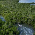 Naples Half-Day Fly Fishing Activity - FAQ