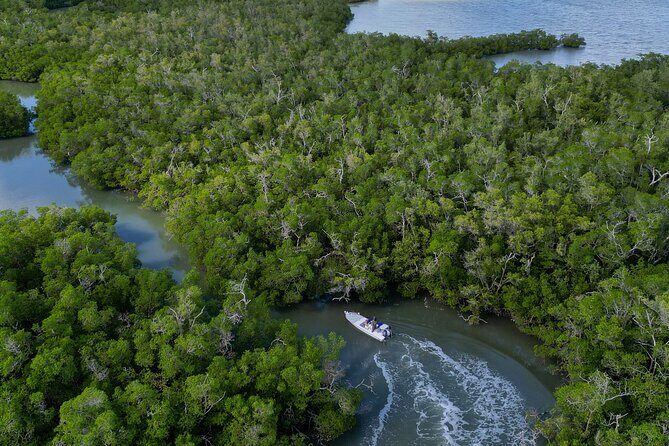 Naples Half-Day Fly Fishing Activity - FAQ