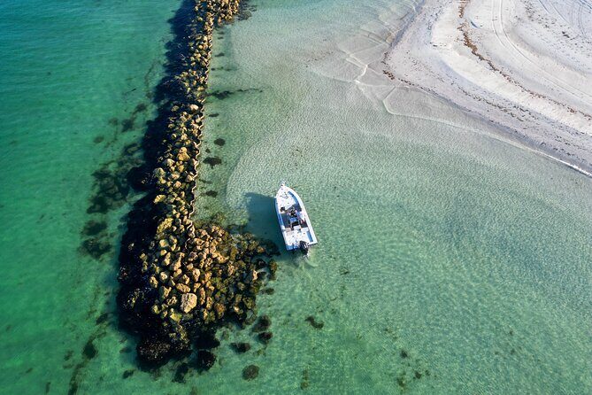 Naples Half-Day Private Eco Tour and Shelling Trip - Who Would Enjoy This Tour?