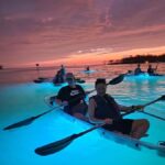Naples: Sunset and Glow Clear Kayak Tour - Why This Tour Works Well
