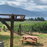 Naramata Full Day Lunch Wine Tour- Incl. Tasting Fees & Gratuity! - Reviews and Authentic Perspectives