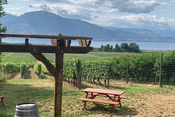 Naramata Full Day Lunch Wine Tour- Incl. Tasting Fees & Gratuity! - Reviews and Authentic Perspectives
