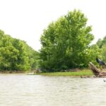 Nashville: Old Hickory Lake Clear Kayak Wildlife Tour - Practical Details and Considerations