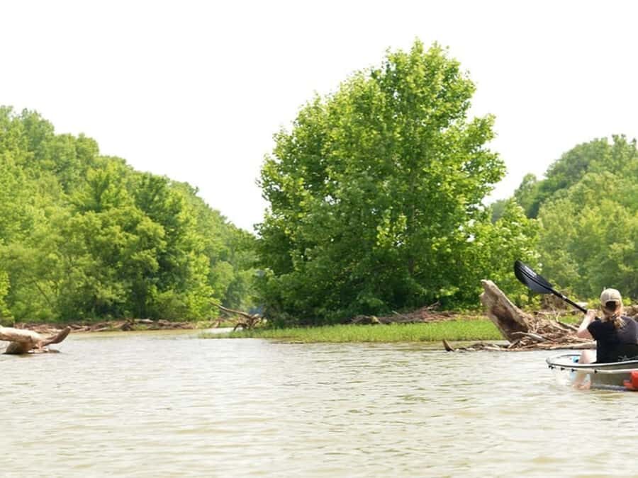 Nashville: Old Hickory Lake Clear Kayak Wildlife Tour - Practical Details and Considerations