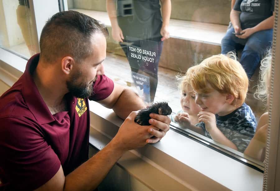 Nashville Zoo: Any-Day Admission Ticket - The Cost and Its Value