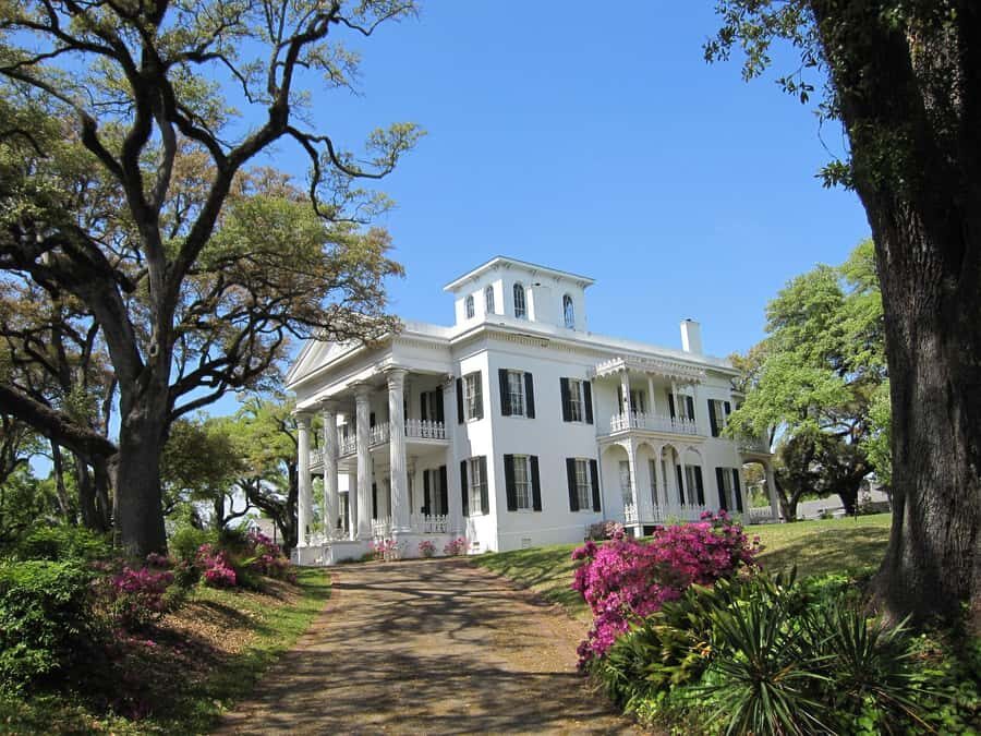 Natchez MS Historical Buildings Tour - The Practical Side: Price, Duration, and Accessibility