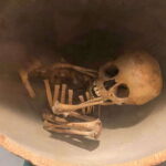 National Museum of Anthropology: A Journey into Mexico's Past-Spanish Language - Exploring the Key Exhibits and Their Stories