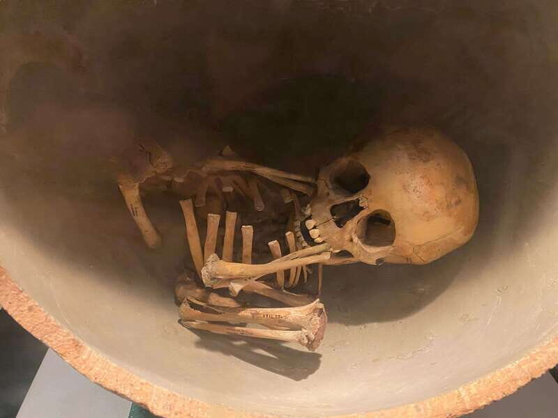 National Museum of Anthropology: A Journey into Mexico's Past-Spanish Language - Exploring the Key Exhibits and Their Stories