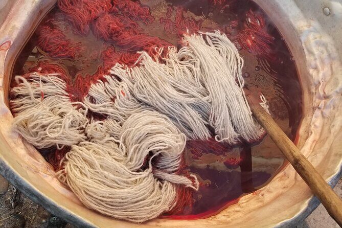 Natural Dyeing and Organic Weaving Workshop in Oaxaca - Practical Details and Value