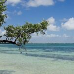 Natural Reserve of Sian Ka'an Tour ! - What to Expect: A Detailed Breakdown of the Itinerary