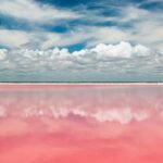 Nature Tour at Las Coloradas and Rio Lagartos Biosphere - What Real Travelers Say