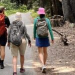 Nature Walk - Who Should Consider This Tour?