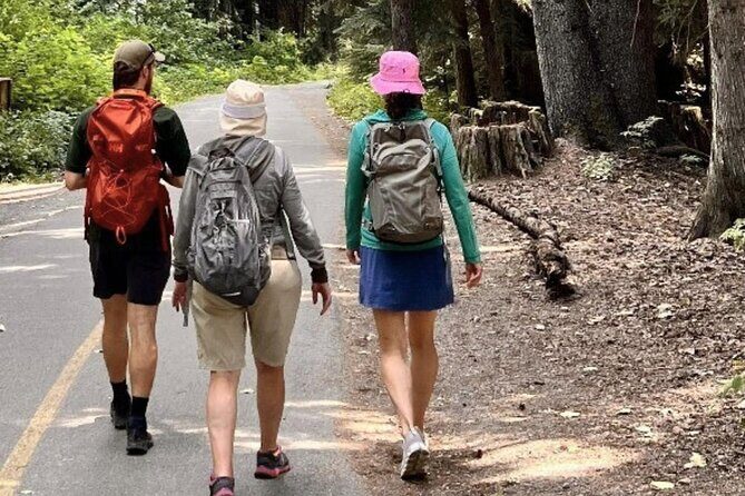 Nature Walk - Who Should Consider This Tour?