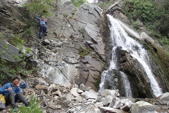 Nature Walk/Hike Tour near Disneyland: ID plants & wildlife - Authentic Experiences and Traveler Insights