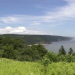 New Brunswick Shore Excursion: Bay of Fundy and More Highlights Tour - Authentic Experiences and Highlights