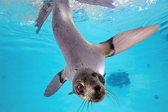 New England Aquarium Admission Ticket in Boston - Authentic Reviews and Real-World Insights