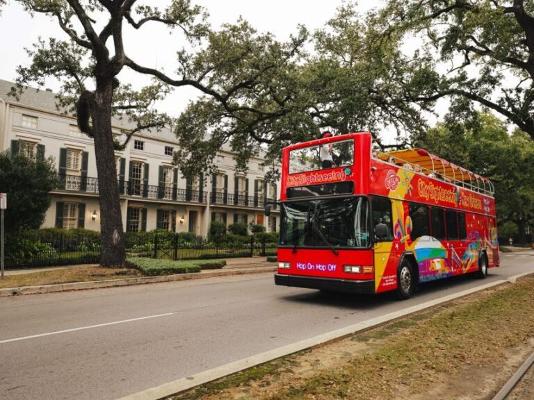 New Orleans: 2 or 3 Day Hop-On Hop-Off Bus with Walking Tour - The Bottom Line: Who Is This Tour For?