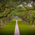 New Orleans: Bayou Swamp Tour and Oak Alley Plantation Tour - Who Will Love This Tour?