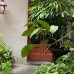 New Orleans Courtyard Cocktails: Happy Hour Mixology Class - Practical Details and Tips