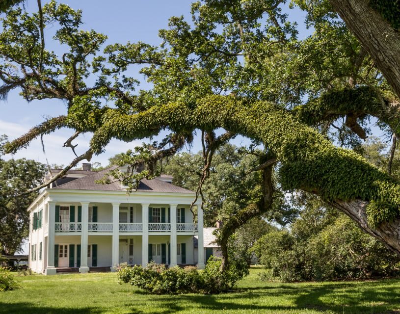 New Orleans: Felicity Plantation Guided Tour - The detailed experience: what you can expect