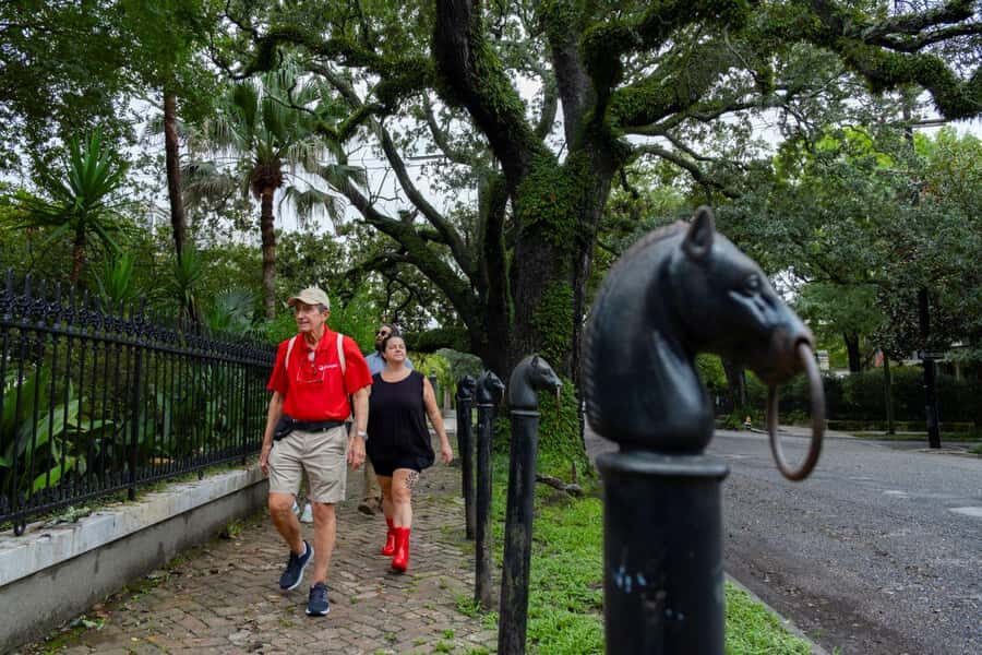 New Orleans Garden District: History & Hidden Gems - How the Experience Comes to Life