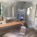 New Orleans: Laura Plantation Tour with Transportation - Exploring the Historic Grounds