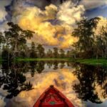 New Orleans: Manchac Swamp Wildlife Kayaking Tour - Who Will Love This Tour?