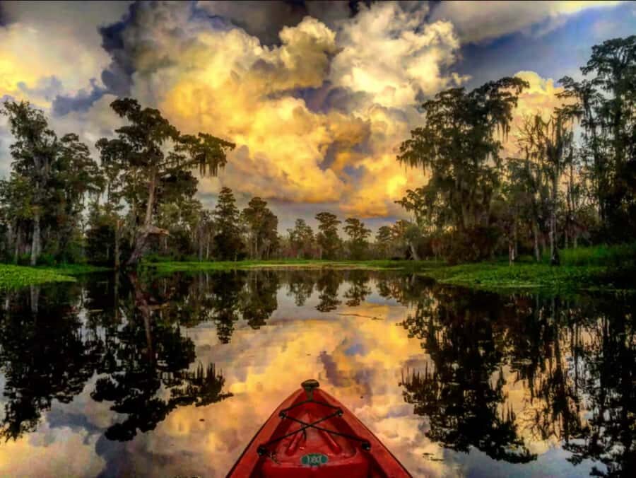 New Orleans: Manchac Swamp Wildlife Kayaking Tour - Who Will Love This Tour?