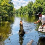 New Orleans: Swamp Boat Ride & Oak Alley Plantation Tour - Who Should Consider This Tour?