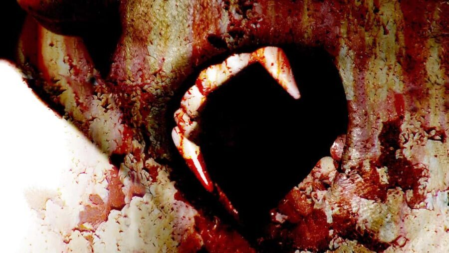 New Orleans: Vampires, Voodoo, and Ghosts Tour - The Stories Behind the Stops