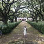 New Orleans: Whitney Plantation Audio Tour with Transfers - What Sets This Tour Apart