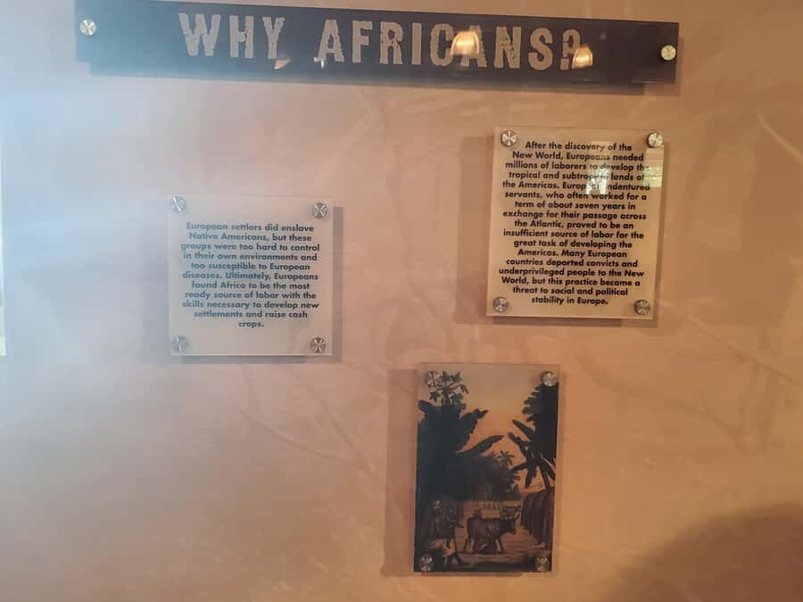 New Orleans: Whitney Plantation Half-Day Tour (Guided Tour) - The Value of the Experience